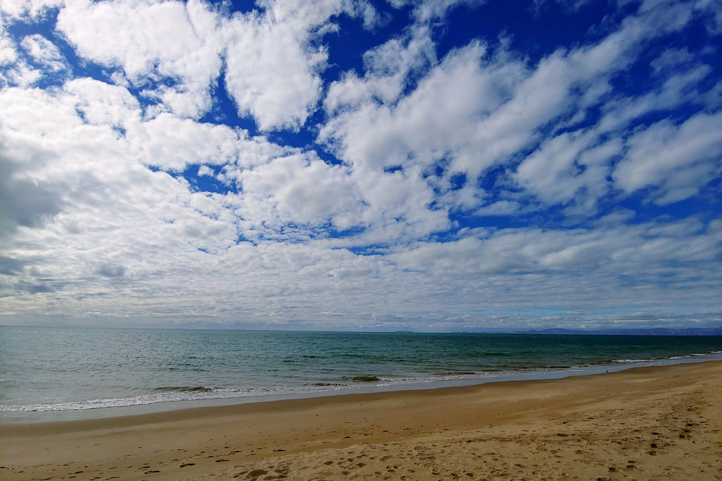 bahía drake (3).webp